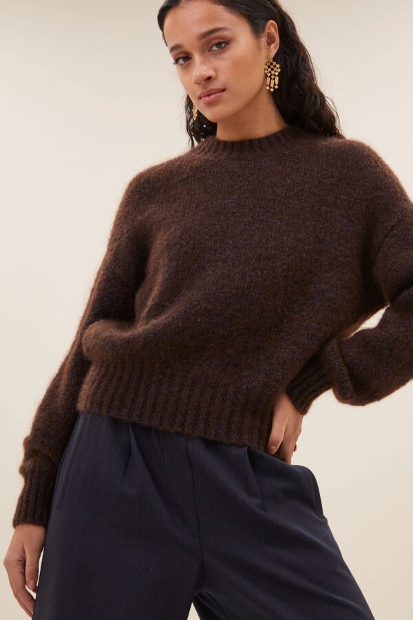 sonny sparkle pullover - Bruin