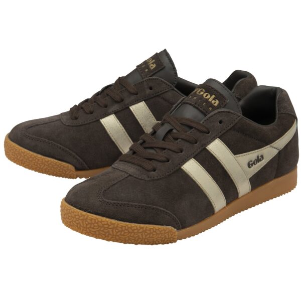 Harrier Mirror - Mocha/Gold/Gum