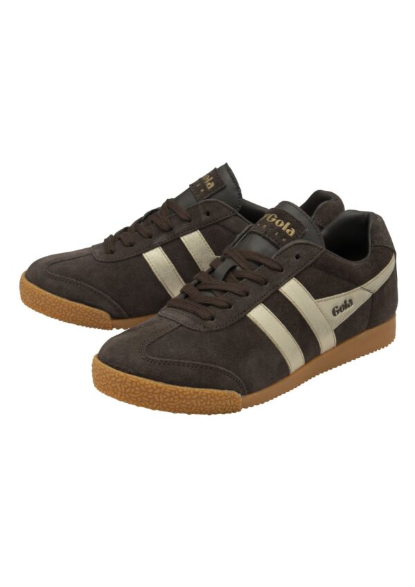 Harrier Mirror - Mocha/Gold/Gum