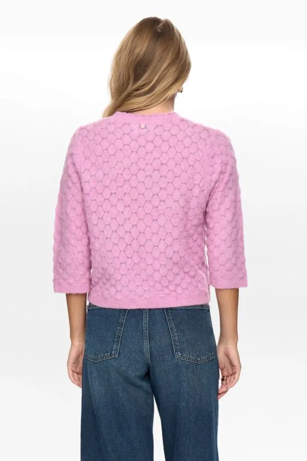 NURIETTE LEAF POINTELLE PULLOVER - Roze