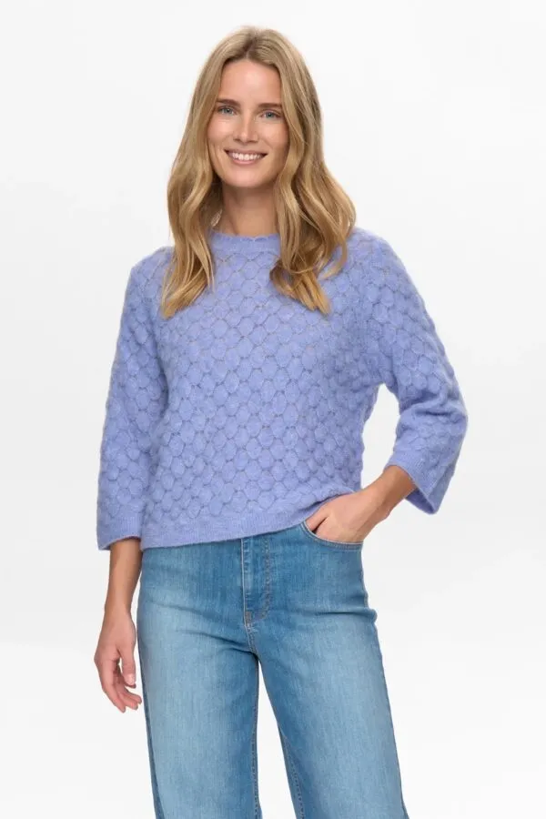 NURIETTE LEAF POINTELLE PULLOVER - Blauw