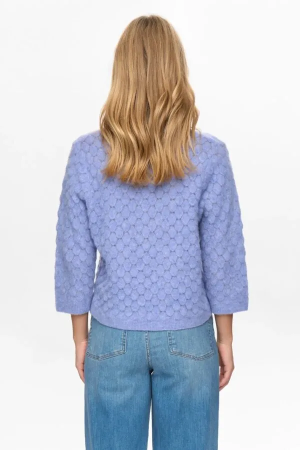 NURIETTE LEAF POINTELLE PULLOVER - Blauw