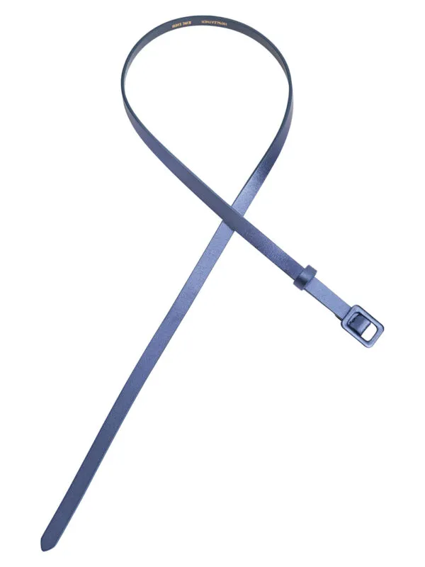 Shiny Belt - Blauw