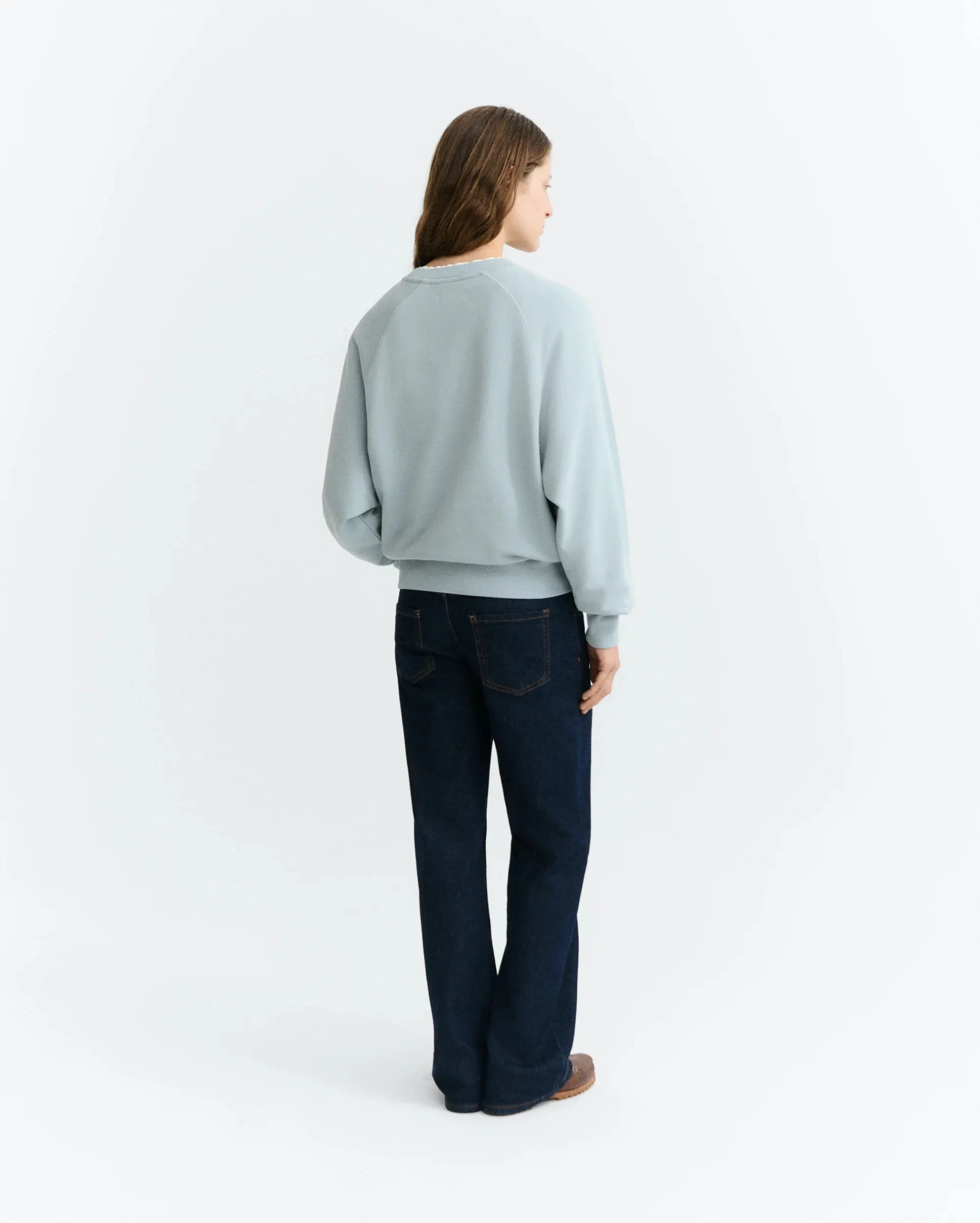 PET PORTRAIT BLUE BONNIE SWEATSHIRT - Blauw - Afbeelding 3