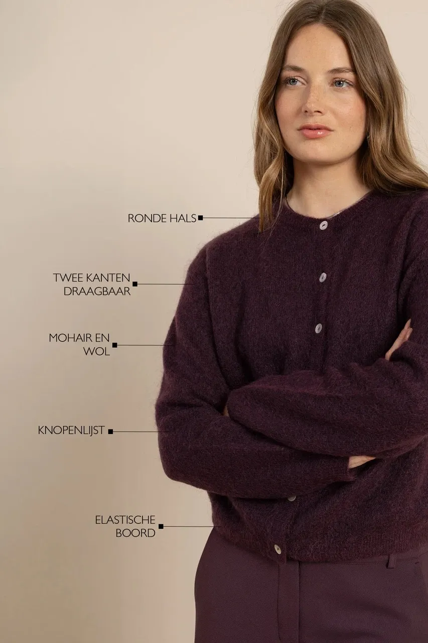 Bibi cardigan - Aubergine - Afbeelding 3