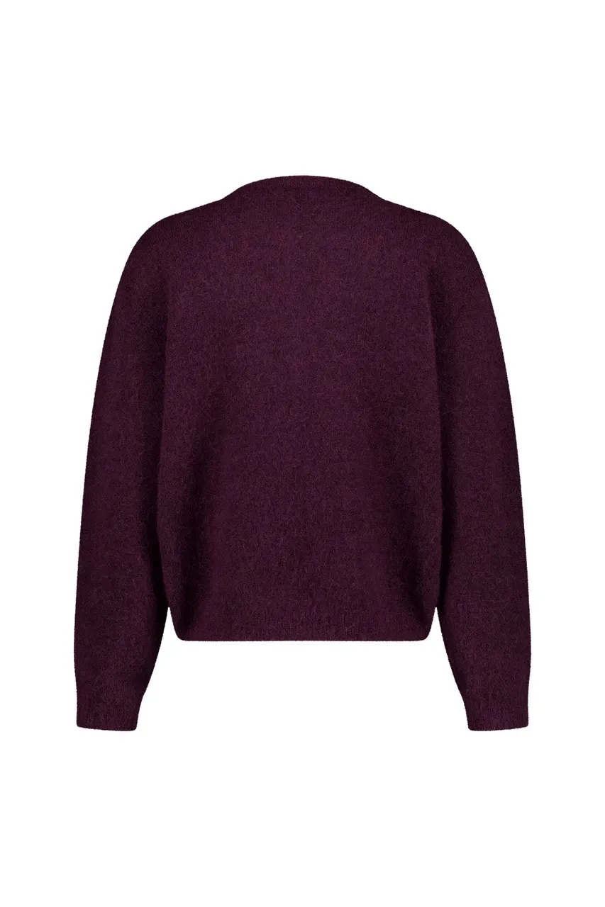 Bibi cardigan - Aubergine - Afbeelding 4