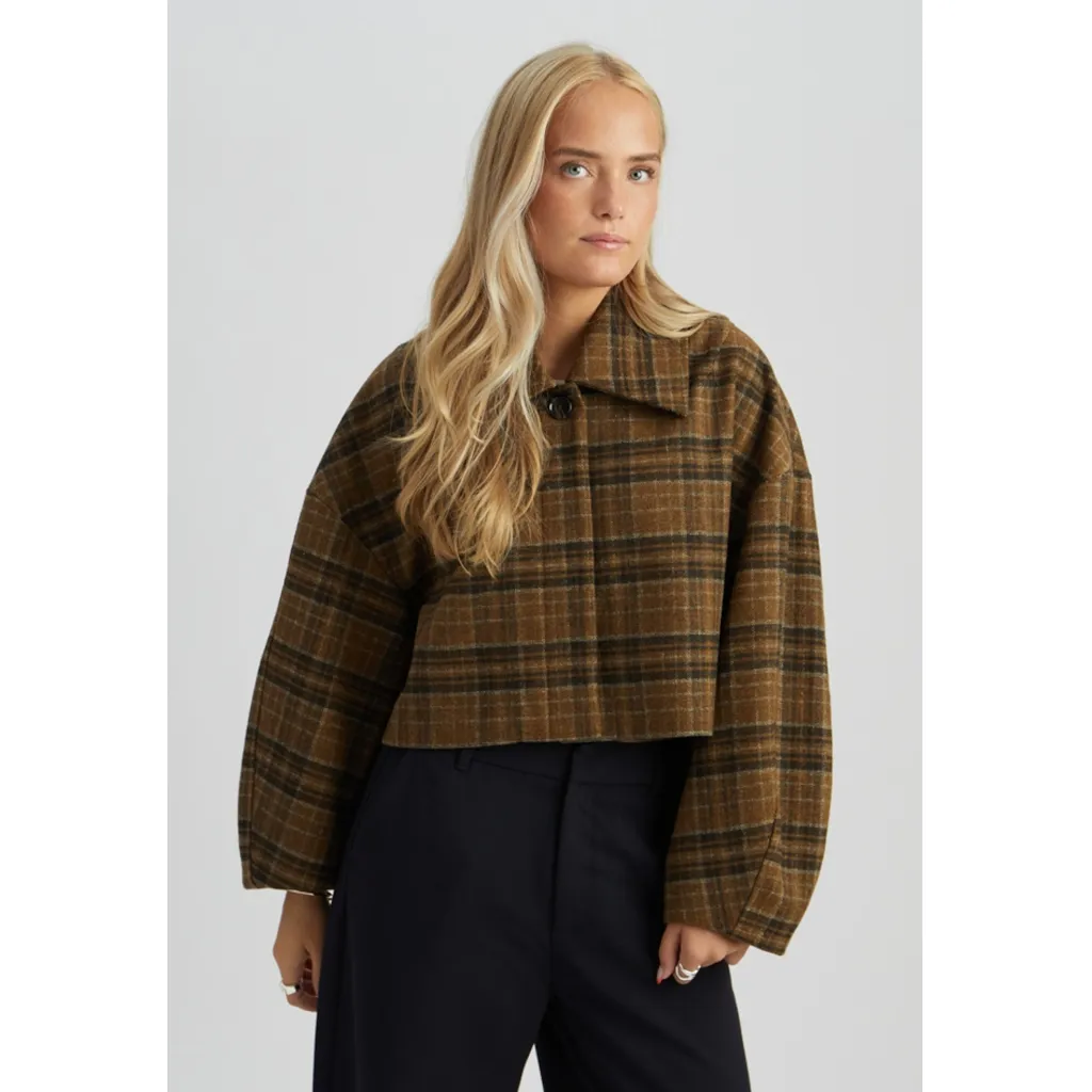 MSParilla Jacket - Bruin