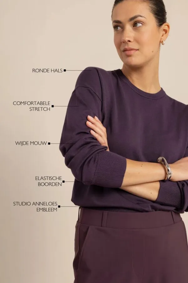 Ruth round neck pullover - Aubergine